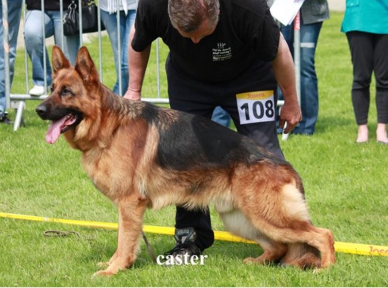 Caster De les An Even